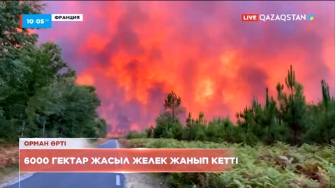 Францияда 6000 гектар жасыл желек жанып кетті