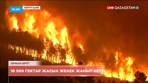 Португалиядағы орман өрті 10 500 гектарды шарпыды