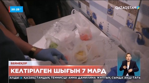 Елімізде биыл 12 мыңға жуық интернет-алаяқтығы тіркелді