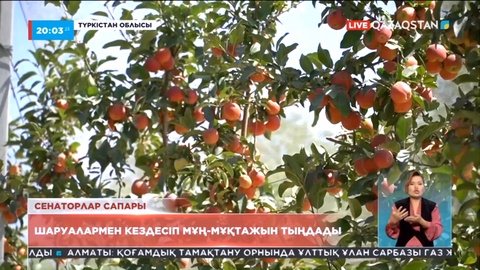 Сенаторлар сапар барысында түркістандық шаруалармен кездесті
