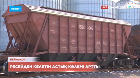 Қазақстан Ресейден биыл 528 тоннадан астам астық импорттаған