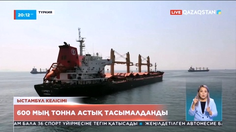 Түркияға теңіз жолы арқылы Украинадан 600 мың тоннадан аса дәнді дақыл тасымалданған