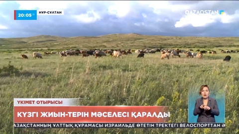 Үкімет отырысында күзгі жиын-терін мәселесі қаралды