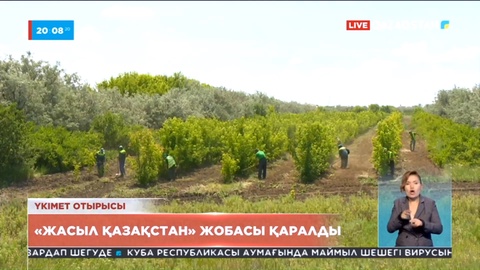 Үкімет отырысы «Жасыл қазақстан» жобасы қаралды