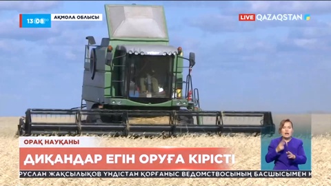 Ақмола облысында 4,7 млн тонналық 70 элеватор астық қабылдауға әзір