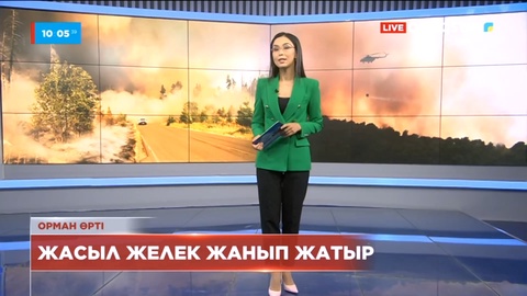 Хорватия жағалаудағы аудандарында орман өртеніп жатыр