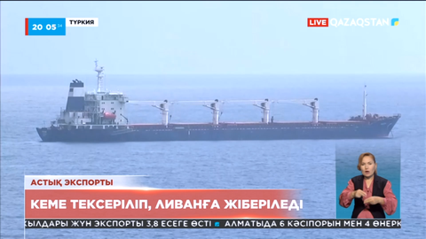 Украинадан аттанған жүк кемесі Түркияда инсекторлардың тексеруінен өтті