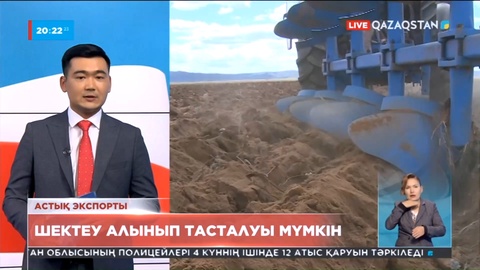 Қазақстан астық пен ұн экспортына салынған шектеуді алып тастамақ