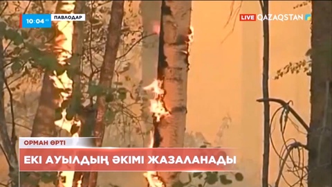 Павлодарда ауыл әкімдері орман өрті кезінде жедел әрекет етпегені үшін жазаланады