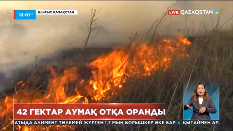 Шығыстағы Самар ауданында 42 гектар аумақ отқа оранды