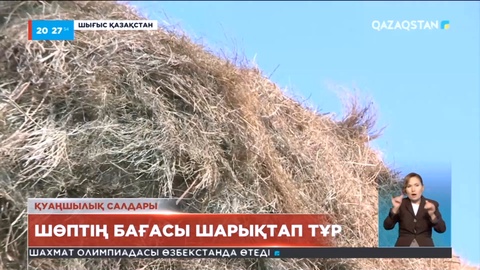 Шығыста шөптің бағасы шарықтап тұр