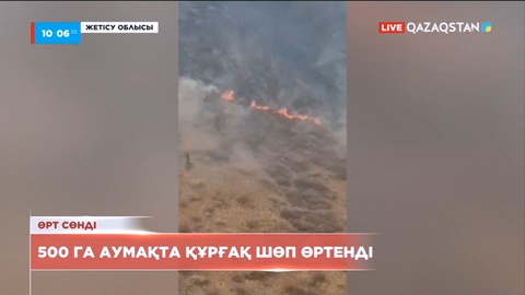 Жетісу облысында 500 га аумақта құрғақ шөп өртенді