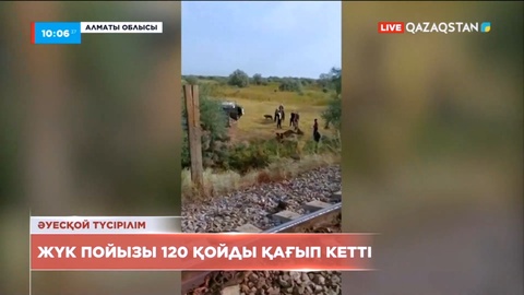 Алматы облысында жүк пойызы 120 қойды басып кетті