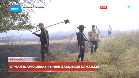 Қостанайда орман шаруашылығының басшысы қамалды