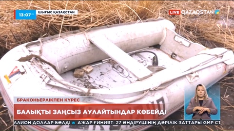 Заңсыз балық аулап айыппұл арқалағандардан мемлекетке 2,5 млн теңге өндірілген