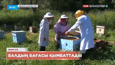 Биыл бал 35-40 пайызға аз жиналды