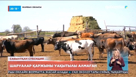 Жамбыл облысындағы 79 шаруа қожалығына мемлекеттен субсидия уақытылы берілмей келген