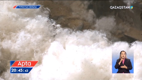 Биыл түркістандық мақташылар өнімін өткізе алмай шырылдап отыр