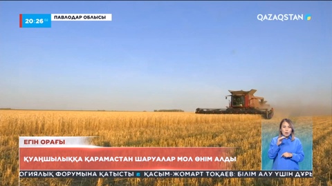 Павлодар облысында шаруалар қуаңшылыққа қарамастан мол өнім алды