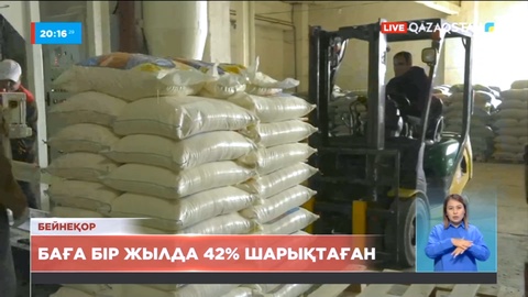 Қазақстанда ұн бағасы бір жылда 42 пайызға қымбаттады