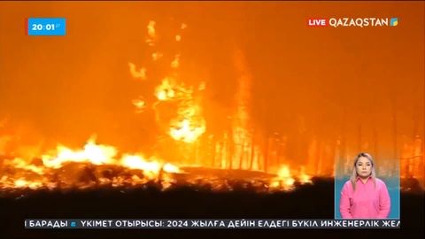 Әулиекөл ауданында орман өртке оранды