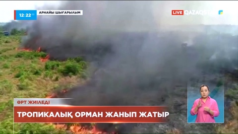 Бразилияның Амазон тропикалық орманында өрт жиілеп кетті