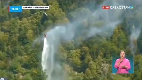 Грузия: Кахетияда 10-ға жуық өрт ошағы тіркелді