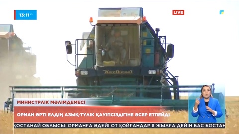 Орман өрті елдің азық-түлік қауіпсіздігіне әсер етпейді – Министрлік мәлімдемесі