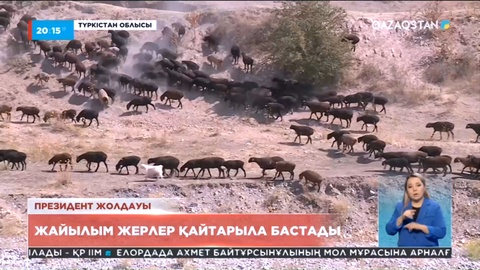 Президент Жолдауы: Түркістанда жайылым жерлер қайтарыла бастады