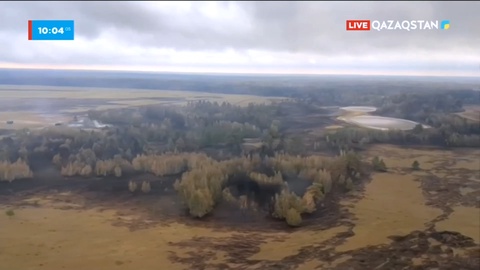 Әулиекөлдегі орман өрті: Елдімекендерге қауіп жоқ