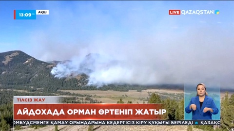 АҚШ-тың Айдахо штатында бірнеше орман өрті тіркелді