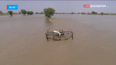 Пәкістанда 600 мың адам баспанасыз қалды