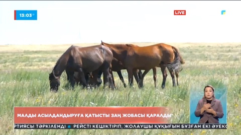 Малды асылдандыруға қатысты заң жобасы қаралды