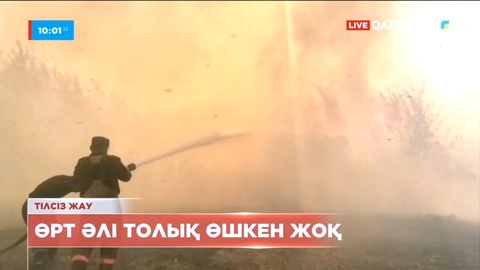 Қатонқарағай мен Күршім ауданында өртті сөндіру қиынға соғып тұр