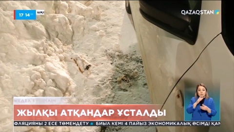 ШҚО-да жылқы атқандар ұсталды