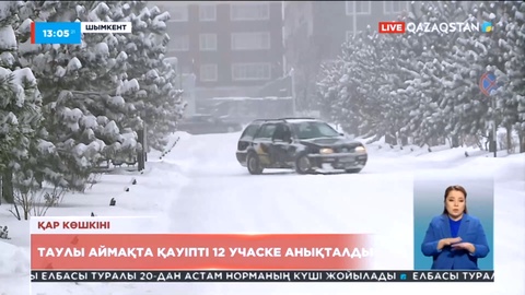 Шымкентте таулы аймақта көшкін болуы мүмкін 12 қауіпті жер анықталды