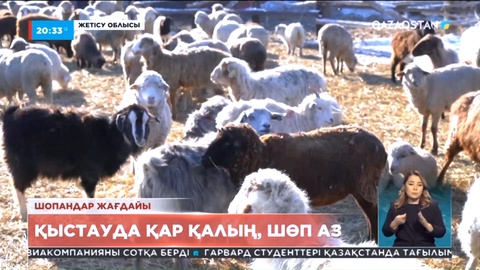 Биылғы қыс Жетісу облысының малшыларын қыспаққа алды