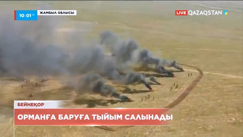 Жамбыл облысы тұрғындарына орманға баруға тыйым салынады