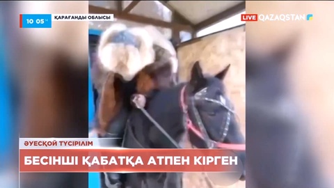 Қарағанды облысында 5-қабатқа атпен кірген азамат әкімшілік жауапкершілікке тартылды