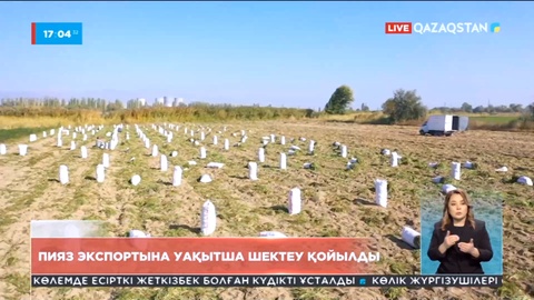 Пияз экспортына уақытша шектеу қойылды