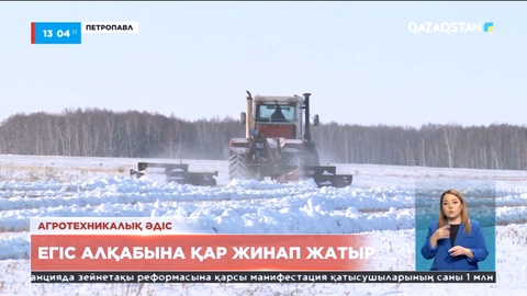 Солтүстік Қазақстан облысында егіс алқабына қар жинап жатыр