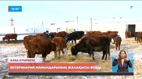 Биыл ветеринария мамандарының жалақысы өседі – министрлік