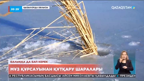 Қызылорда облысындағы көлдерде балыққа оттегі жетпей, қырылып қалуы мүмкін