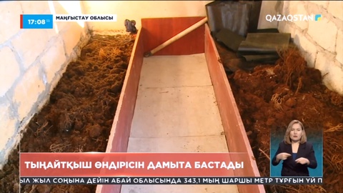 Маңғыстаулық тұрғын тыңайтқыш өндірісін дамыта бастады