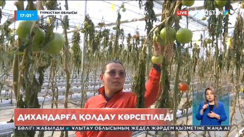 Өнімі үсіп кеткен жылыжайлардың иелеріне мемлекет қолдау көрсетеді