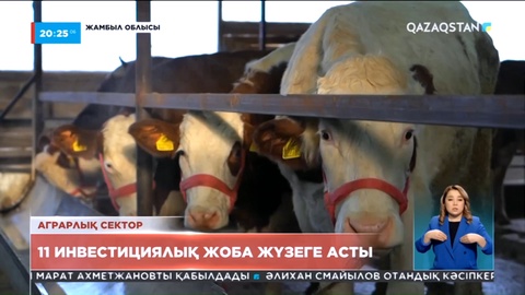 Жамбыл облысында 11 инвестициялық жоба жүзеге асты