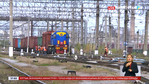 Щучьедегі студенттің өлімі: ІІМ екі қылмыстық іс қозғады