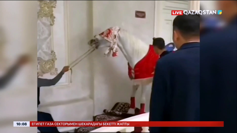 Сүндет тойда жылқыға қатыгездік көрсеткен ер адам жауапқа тартылды