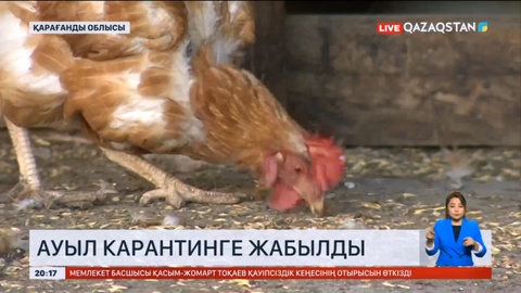 Қарағанды облысындағы Ахмет ауылы карантинге жабылды