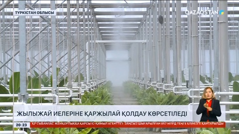 Үкімет Түркістан облысының жылыжай иелеріне қолдау көрсетеді